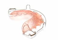 Anatomical illustration of a shrimp or prawn shown in profile view against white background.
