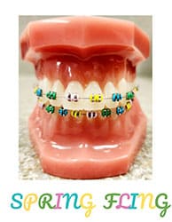 Dental model displaying green and gold braces with "Spring Fling" text overlay for orthodontics practice.