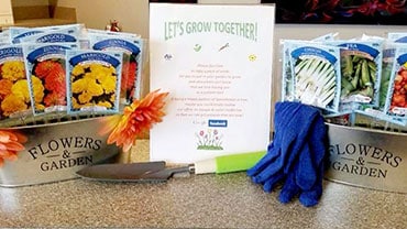 Orthodontic office display with seed packets, gardening materials, and promotional signage on counter.